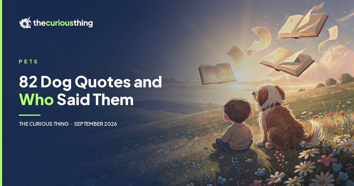 82 Dog Quotes and Who Said Them: a child and a shaggy dog on a hillside, from The Curious Thing
